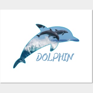 Dolphin Day Posters and Art